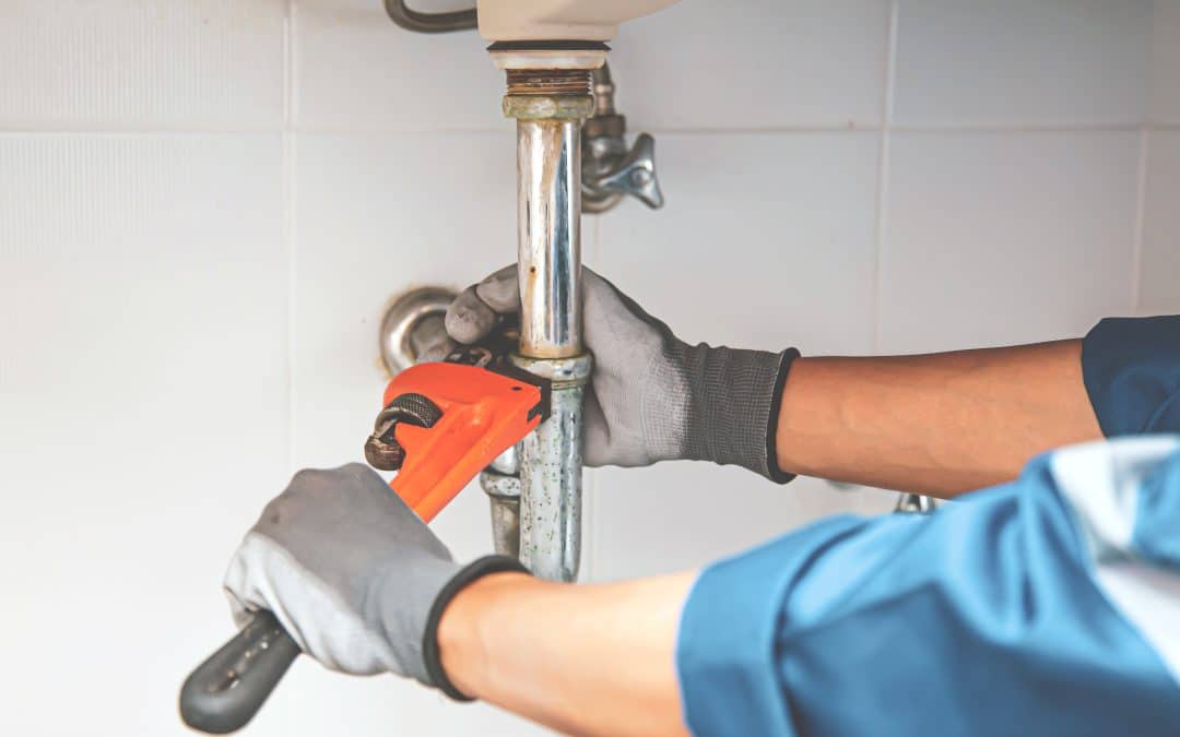 Top Tips For Plumbers In Lexington: Save Water Now